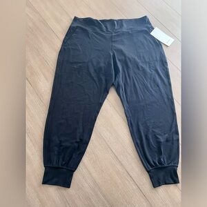 Lululemon BRAND NEW DISCONTINUED align high rise full length joggers
